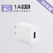 霆仕 1A 充电器