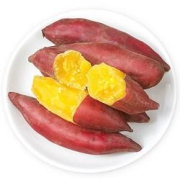 薯根香山东板栗红薯小果5斤