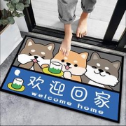 浴室卫生间吸水防滑地垫40*60