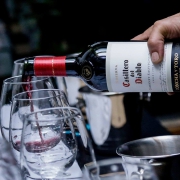 智利原瓶进口，750mlx6瓶 红魔鬼 马代苏珍藏赤霞珠干红葡萄酒