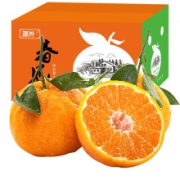 PLUS会员：源外 四川春见耙耙柑 精品中果 带箱10斤