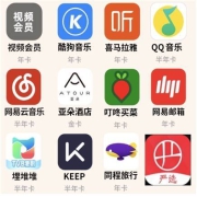 YANXUAN 网易严选 Pro会员年卡联合会员 买1得12