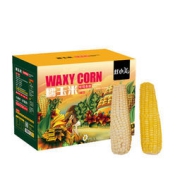 灶小美 黄白糯玉米随机礼盒6棒 1250g