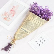 有逸干花满天星干花紫色总长约30cm