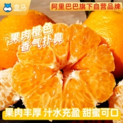 盒马鲜生 四川春见耙耙柑丑橘 3斤