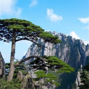 圣诞周末不加价！黄山景区9家酒店2晚套餐（山上/山下各选1晚）