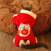 HELLOJOY宠物猫咪衣服冬季s码（1~3斤）