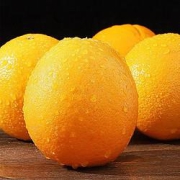 XianZhiNan鲜指南纽荷尔脐橙净重5斤装（单果65mm+）