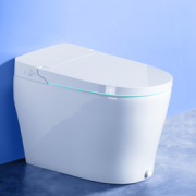 PLUS会员！HOROW 希箭 S2-L 虹吸式多功能即热烘干智能坐便器  300mm