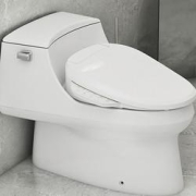 KOHLER科勒圣拉菲尔连体马桶配8298盖板组合