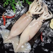 竹域 新鲜大鱿鱼 500g