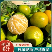 广西正宗皇帝柑当季新鲜橘子