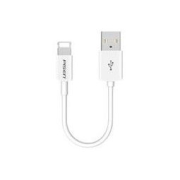 PISEN 品胜 iPhone 快充数据线 0.2米