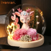 Ivenran 依雯然 爱情的呵护 永生花