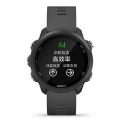 GARMIN 佳明 Forerunner 245 跑步智能手表 神秘灰