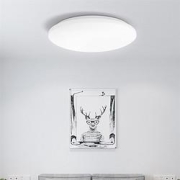 9日20点：PHILIPS飞利浦led卧室吸顶灯恒妍24W6500K白光