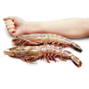京鲜生 冷冻巨型黑虎虾长18cm 14-16个头 1kg＊2件