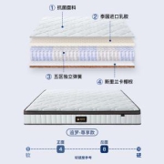 梦神乳胶床垫十大名牌椰棕垫弹簧床垫席梦思护脊硬垫床垫家用追梦
