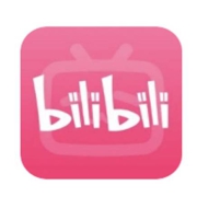 哔哩哔哩 大会员12个月 B站VIP会员