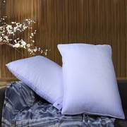 FUANNA富安娜40支纯棉小提花抗菌枕74*48cm