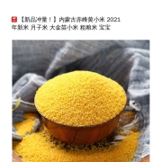 【新品冲量！】内蒙古赤峰黄小米 2021年新米 月子米 大金苗小米 粗粮米 宝宝暖胃小米粥 5斤黄小米（普通袋装）