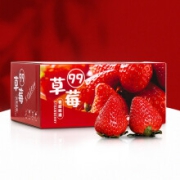 丹东99草莓 红颜草莓新鲜奶油草莓 (现货现发 顺丰空运) 精选草莓（中果） 24枚*2盒