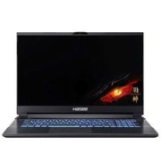 Hasee 神舟 战神 Z8-TA7NP 17.3英寸游戏笔记本电脑（i7-11800H、16GB、512GB、RTX3060）