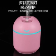 迪弗洛 usb家用加湿器 冰川白