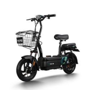 PALLA新大洲TDT23ZK6新国标电动车