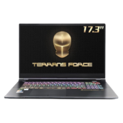 TERRANS FORCE 未来人类 T7 17.3英寸游戏笔记本电脑（i7-11800H、32 00%sRGB）