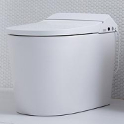 Tinymu小沐ZNJ600-FRQKC-C71智能马桶一体机pro版305mm