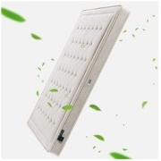 Serta 舒达 E6 大自然棕纯棕榈床垫 100*200*6cm