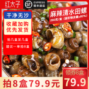 红太子麻辣田螺 香辣螺蛳加热即食嗦螺肉儿时零食260g/盒*1盒装