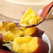 薯根香 山东板栗红薯 中果5斤