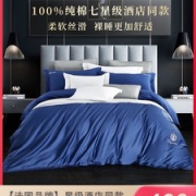 床品中的劳斯莱斯 法国进口DEPERLITE 黛思慕尚 双股100S纯棉床上四件套