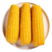 穗康 甜糯黄玉米棒 250g*5支