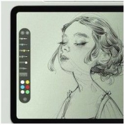 英利瑞 iPad mini 类纸膜 1片