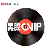 网易云音乐 VIP黑胶会员 12个月年卡