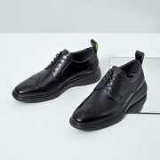 REDDRAGONFLY红蜻蜓WTA304761男士商务休闲鞋