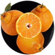 广供天下 四川蒲江眉山春见耙耙柑丑橘 丑橘2.5kg（果径60-65mm）