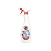 大公鸡头 厨房净油污 625ml