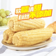 盒马生鲜 穗康白糯玉米220g*10