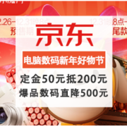 促销活动：京东 电脑数码新年好物节
