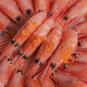 互联火熟冻北极甜虾2.5kg
