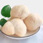 古松 新鲜猴头菇2斤（约6-10个）