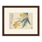 雅昌 恽寿平《枇杷图 》茶褐色 59×48cm 古典中式国画水墨画
