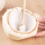 富鲜皇 泰国进口香水椰青 900g*3粒