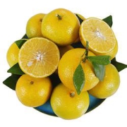 京觅皇帝柑2.5kg