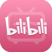 哔哩哔哩 B站VIP 12个月