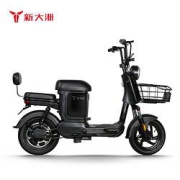 PALLA新大洲TDT39Z电动自行车